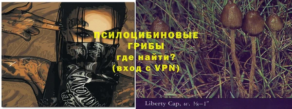 дживик Алексин