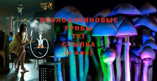таблы Алзамай