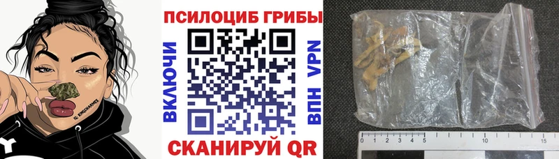 Галлюциногенные грибы Psilocybine cubensis  кракен как зайти  Павловская 